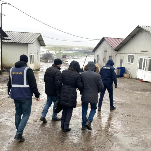 Controale la societăți din Botoșani: Nicio încălcare constatată