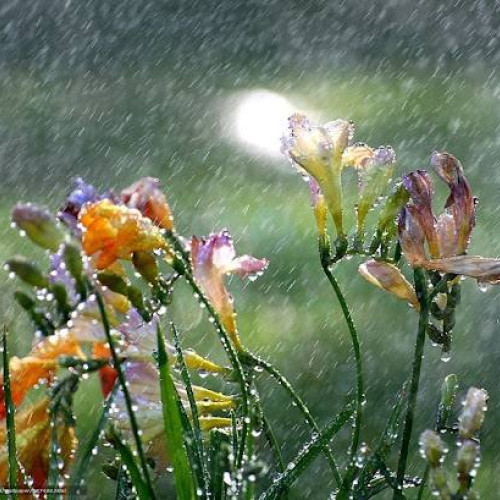 Temporar precipitațiile în Dâmbovița, țară sub avertizare meteorologică.