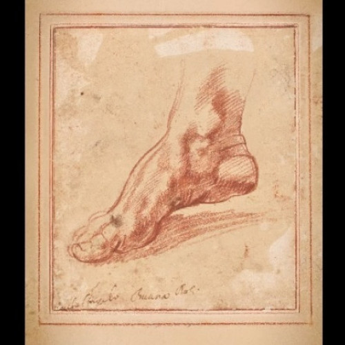 Schiță de Michelangelo vândută cu 27,2 milioane de dolari la Christie’s