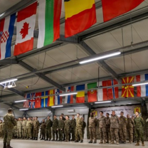 Exercițiu multinațional de artilerie în Cincu, România, sub comandament american