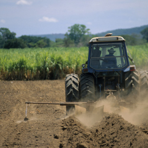 Cooperativele din sectorul vegetal participă la formări în Berlin