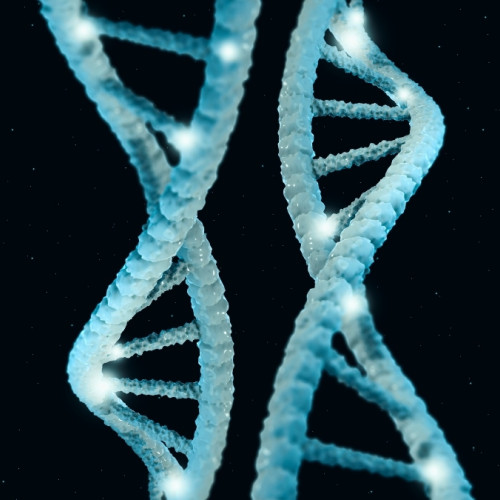Genele tale ar putea influența longevitatea mai mult ca niciodată. Iată de ce.