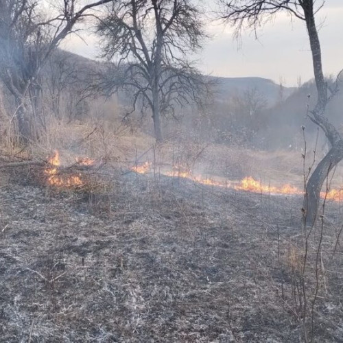 Alertă pentru incendiul de vegetație din Spermezeu: Apelul primarului Sorin Hognogi pentru prevenirea dezastrelor