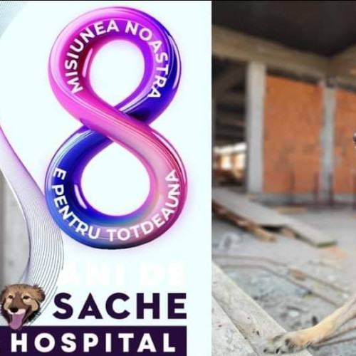 SACHE VET împlineşte 8 ani şi lansează campania de donaţii prin SMS pentru primul spital veterinar sociale din Ţară
