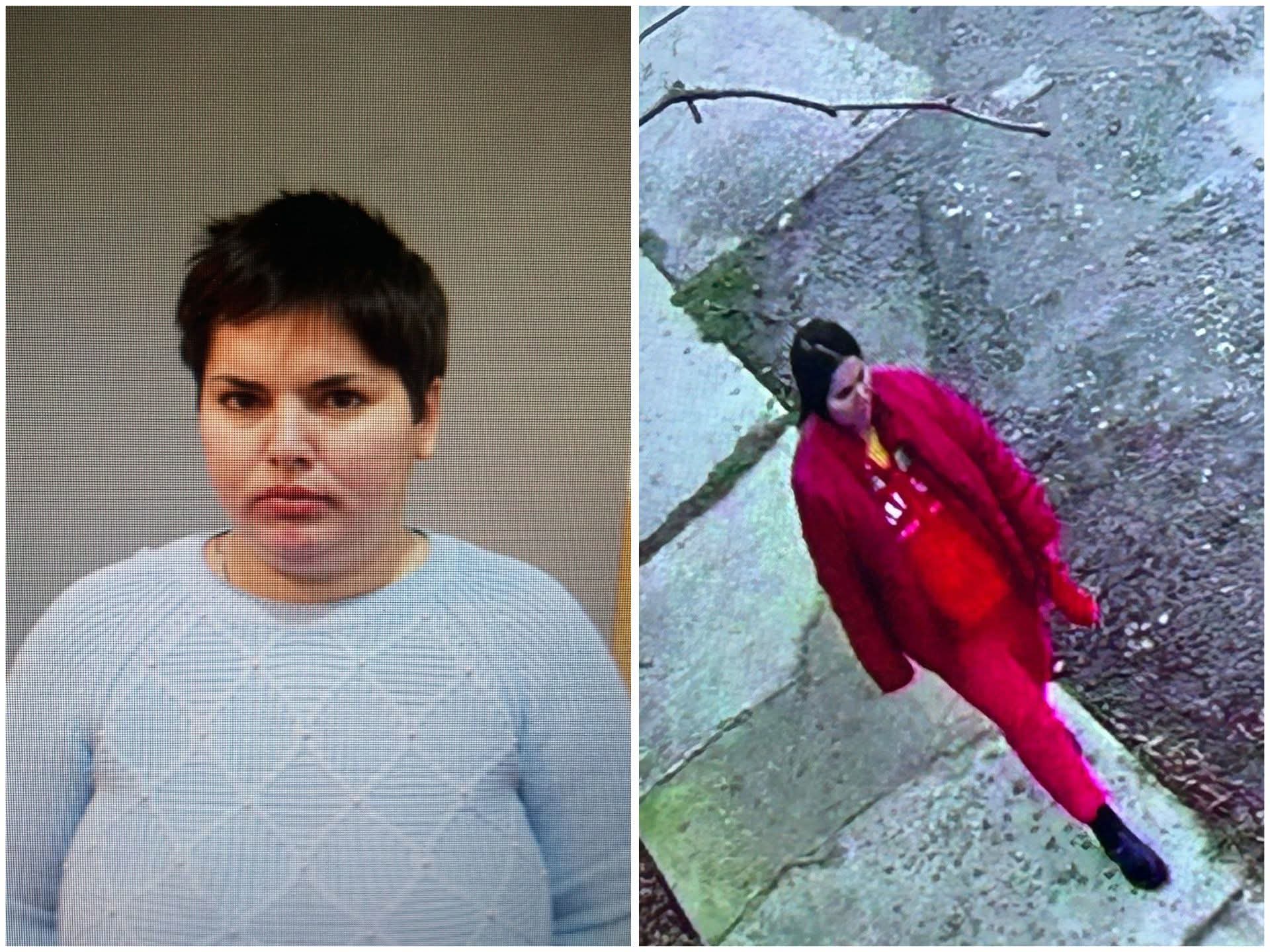 Căutări intense pentru găsirea unei tinere dispărute din județul Vâlcea