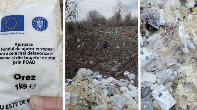 Ajutoarele Uniunii Europene, abandonate pe malul unui râu în Ulmeni