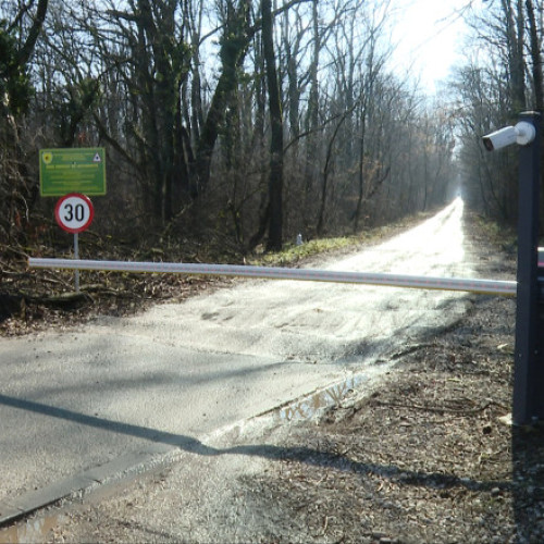 Accesul autoturismelor în Pădurea Băneasa, pus în pericol de construcții ilegale