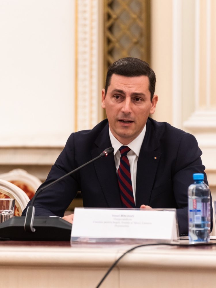 Ionel Bogdan, avertisment despre amânările Curții Constituționale