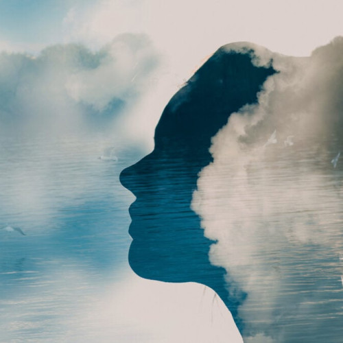 Scientists Say We Might Have 33 Senses. Here’s the Breakdown - Gizmodo