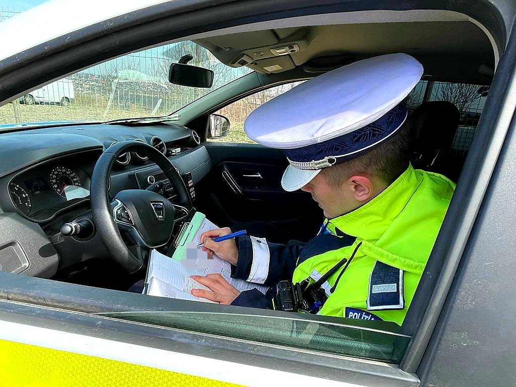 Șofer din Suceava amendat pentru transport ilegal de lemne