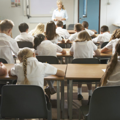 Structura anului școlar 2026-2027 a fost avizată