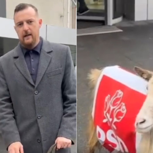 Daniel Ciornei, protest inedit cu o capră îmbrăcată în PSD la Baia Mare