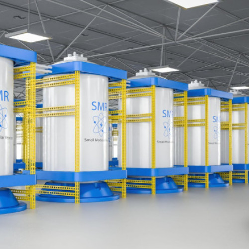 Nuclearelectrica aprobă dezvoltarea reactoarelor modulare mici la Doiceşti