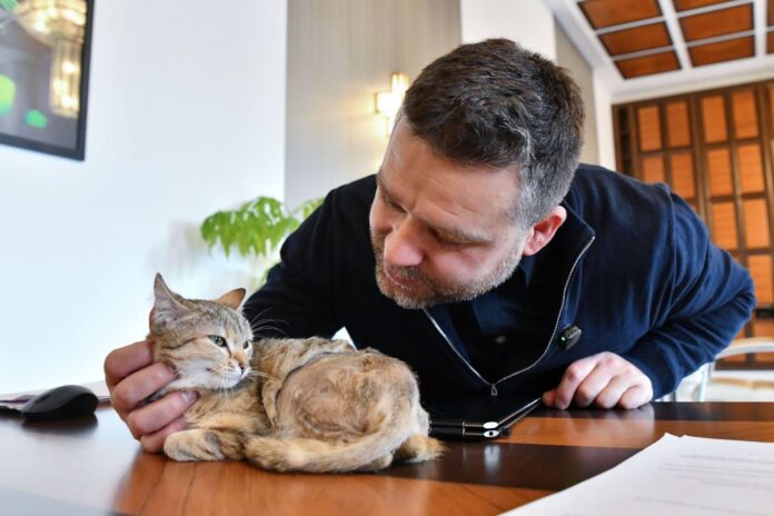 Ciprian Ciucu și-a adoptat o pisică, Cathy, în biroul primăriei