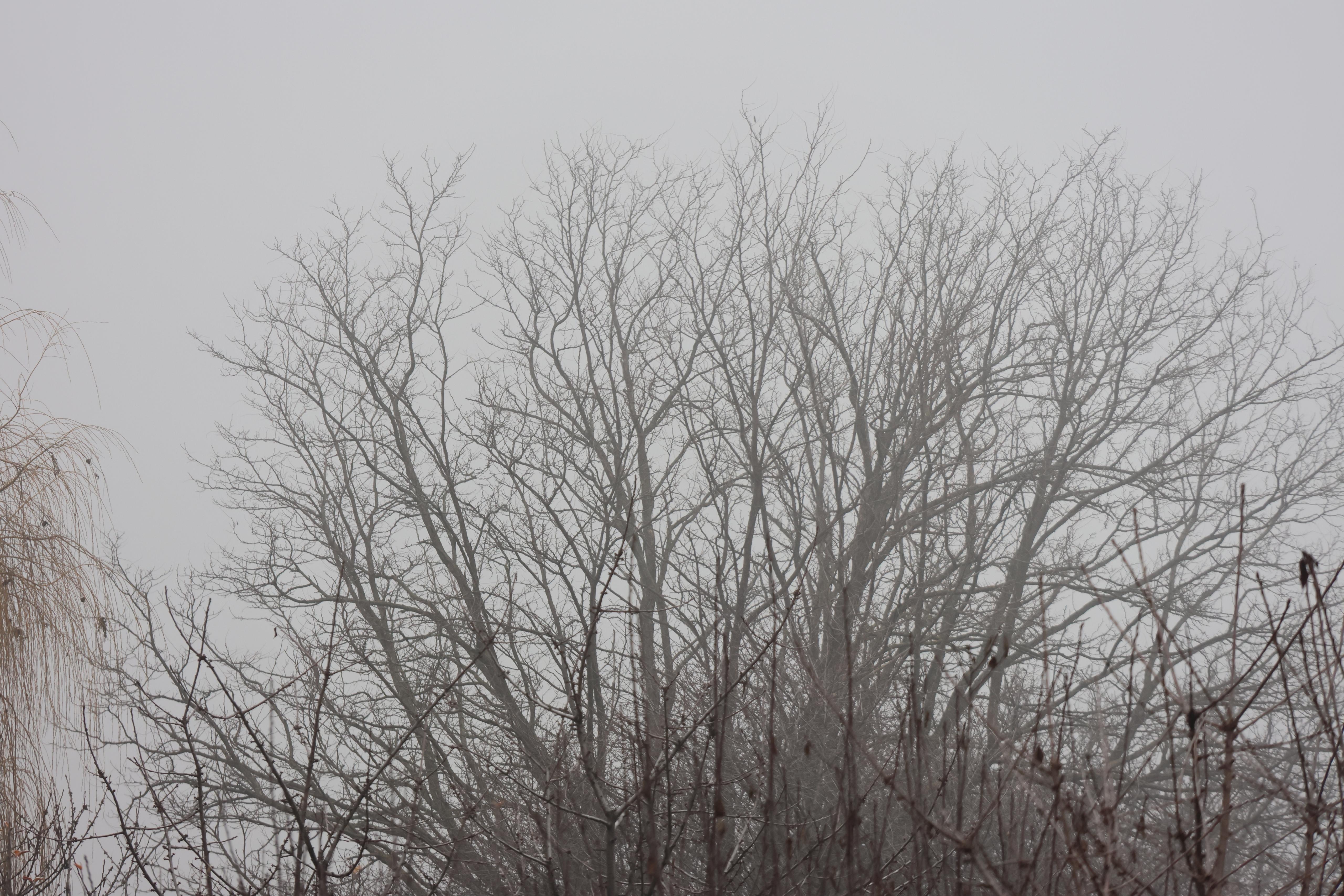 Vreme deosebit de rece în România, anunțată de ANM pentru următoarele săptămâni