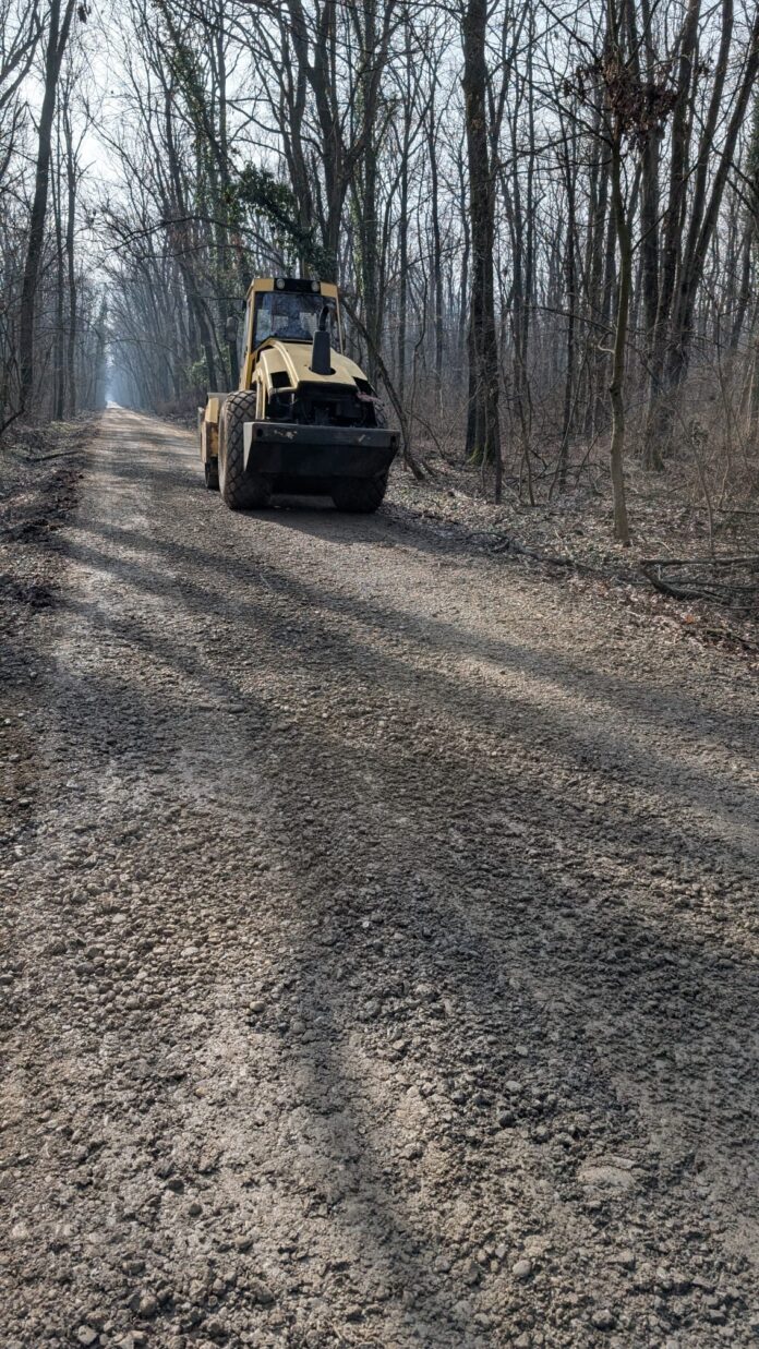 Peste 19.000 de semnături pentru protejarea Pădurii Băneasa