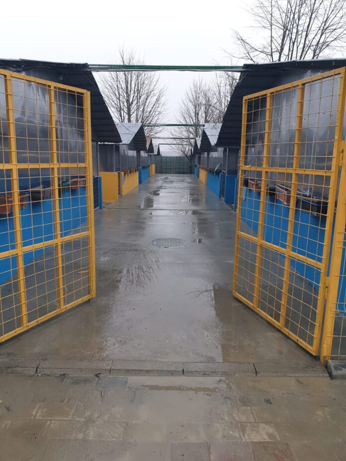 Consiliul Județean Ilfov deschide primul centru de adopții pentru câini