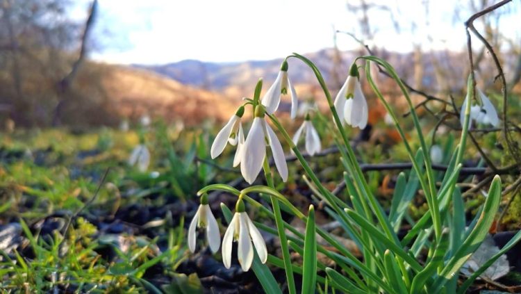 România se pregătește pentru o primăvară călduroasă