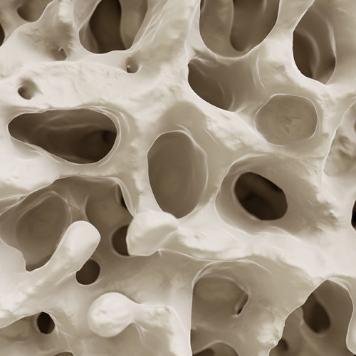 Studiu revoluționar dezvăluie secretul modului în care exercițiul combate osteoporoza