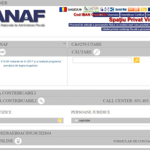 Parlamentul propune un sistem unificat pentru serviciile online ale statului