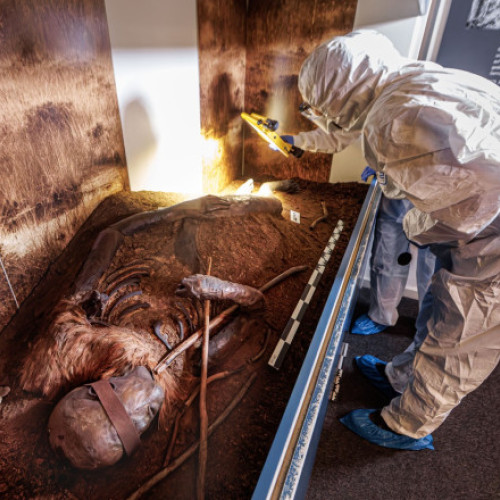 Descoperirile din mlaștinile germane oferă perspective noi asupra triburilor germanice