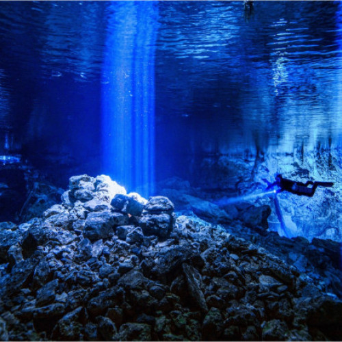 Micoorganismele intraterestre pot aștepta milioane de ani pentru a renunța la starea latentă