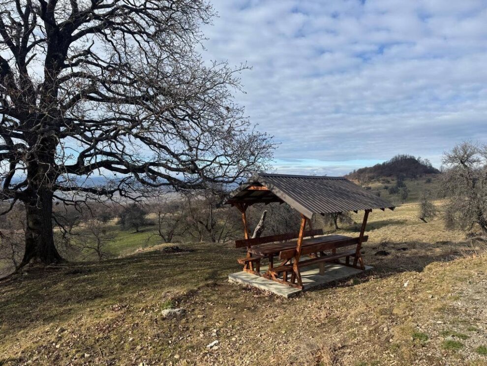 Primăria Cetate solicită respectarea regulilor în zonele de recreere