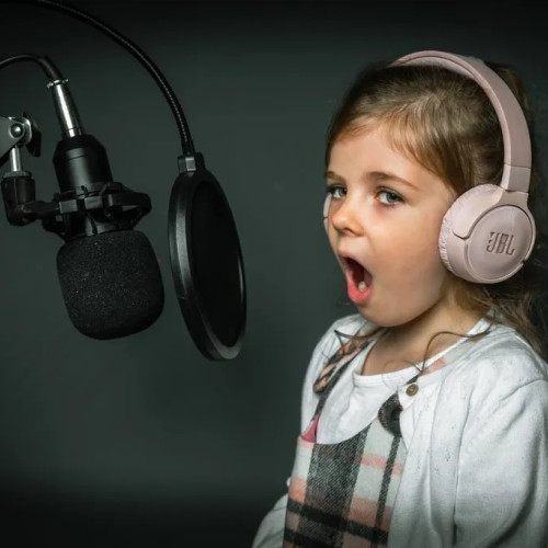 Tinerii interpreți din Galați sunt invitați la concursul „Primăvara pe note muzicale”