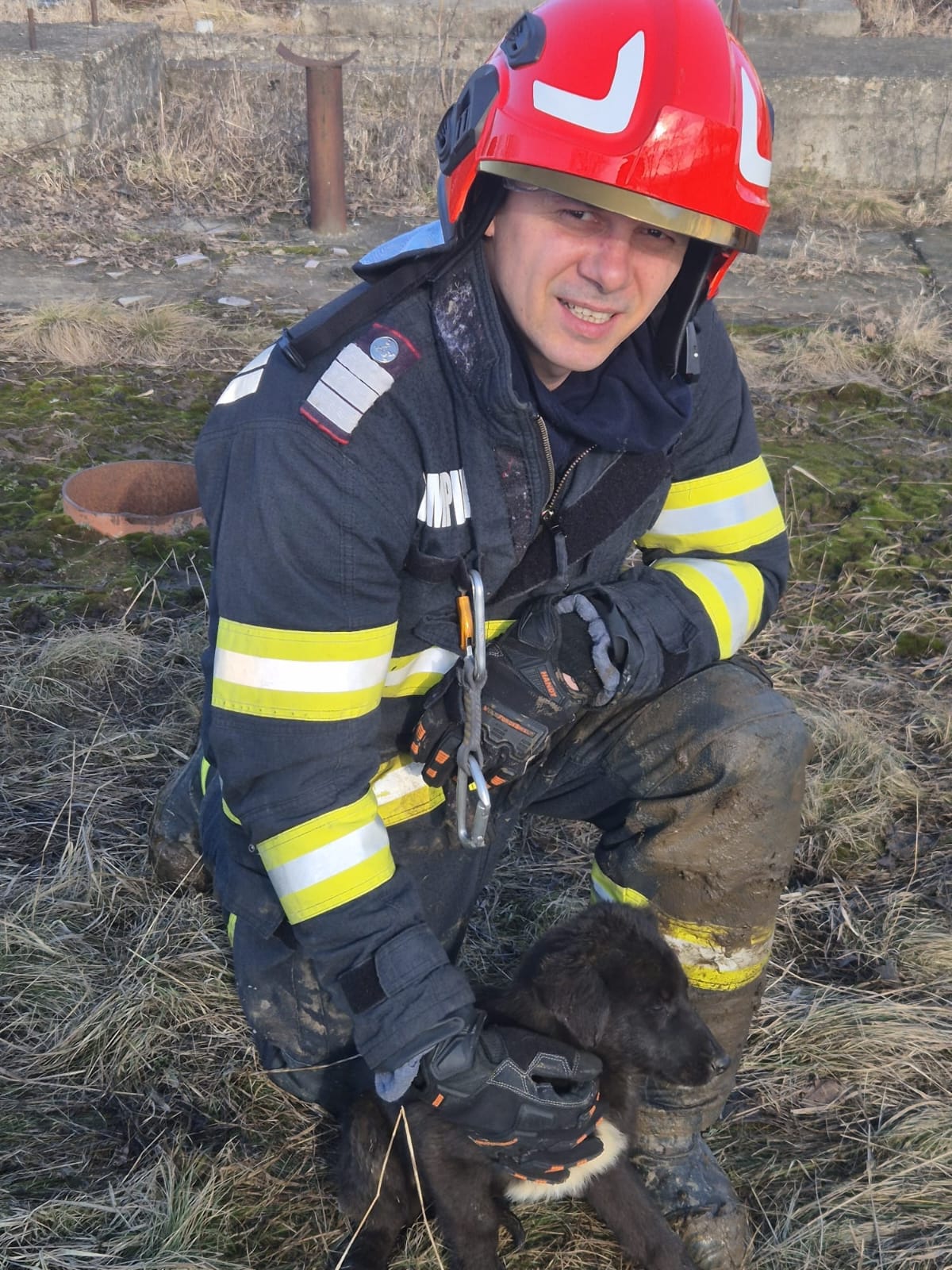 Pompierii salvează un cățel prins într-un cămin de apă din Costești