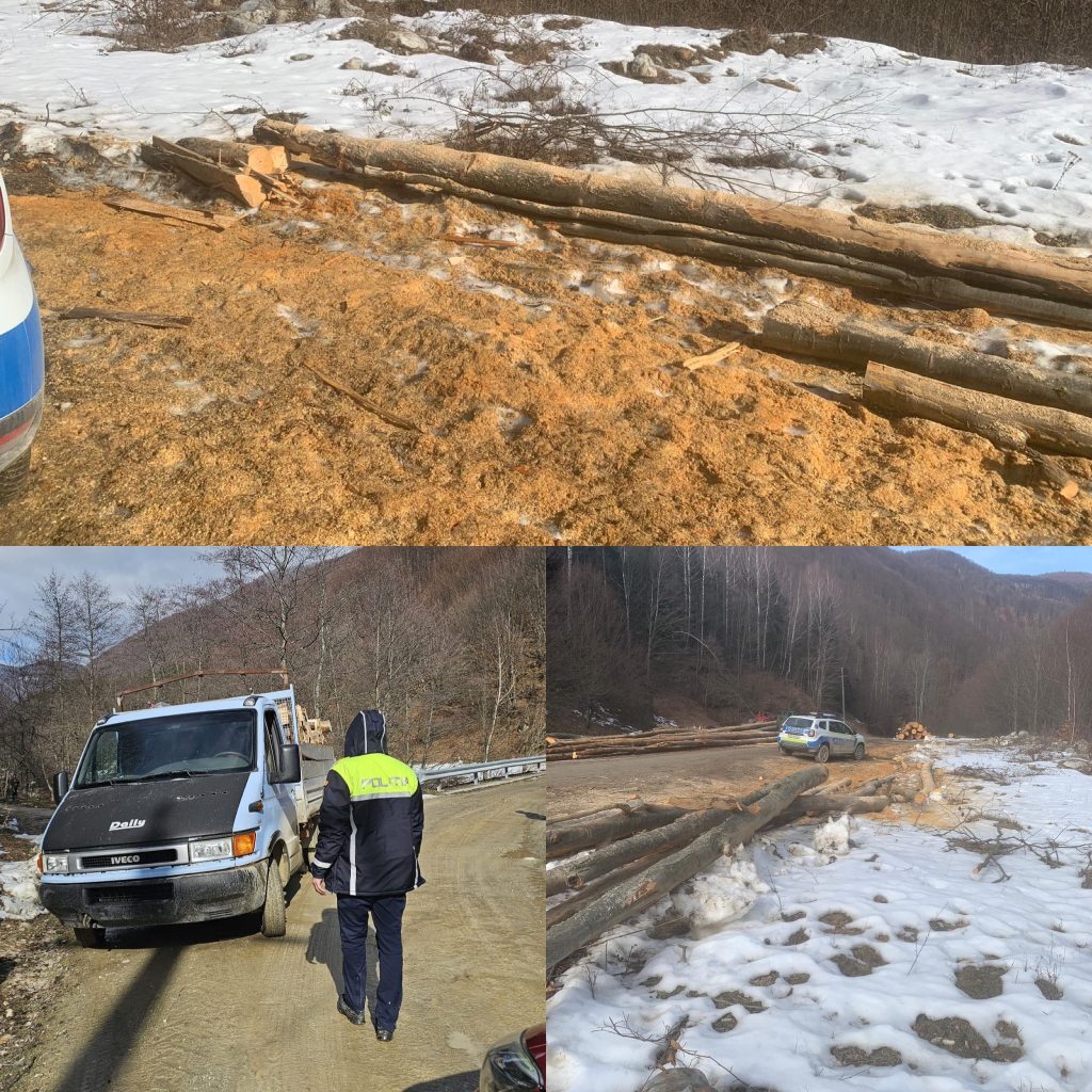 Bărbat din Baia de Fier prins cu lemn tăiat ilegal