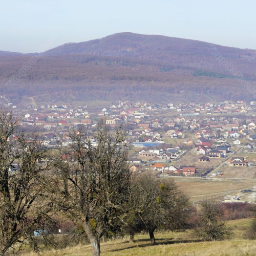 Constructorul austriac de cuptor furnizor fructe Parcului Perilor Seculari din Bistrița