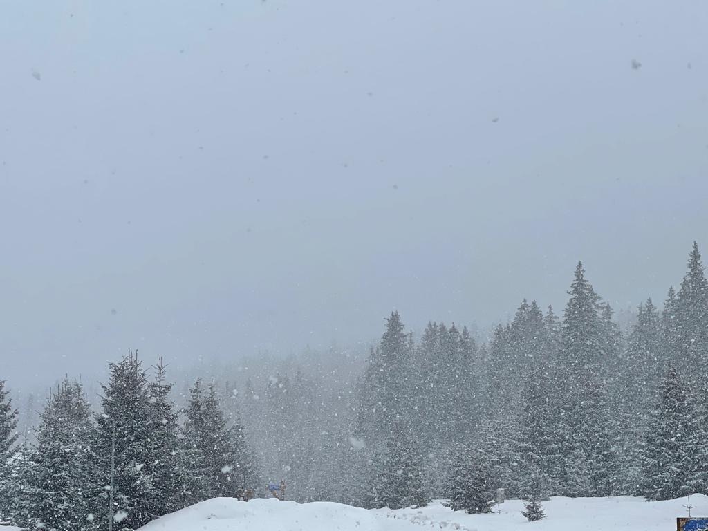 Prognoza meteo pentru județul Alba, 16-22 februarie 2026