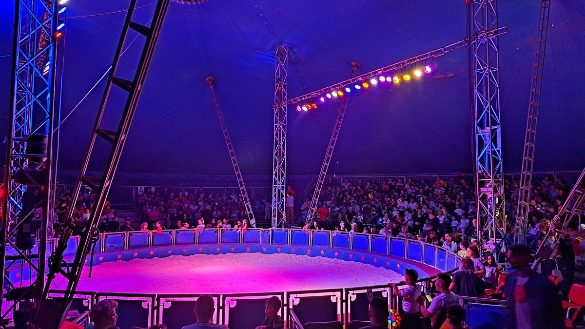 Accident grav la circ în Craiova: Un artist a căzut de la 4 metri