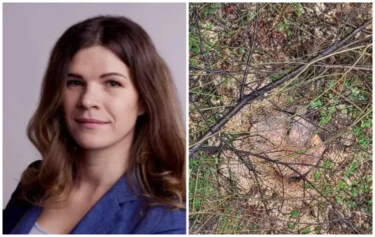 Alerta consilierului local privind toaletările din Cluj-Napoca