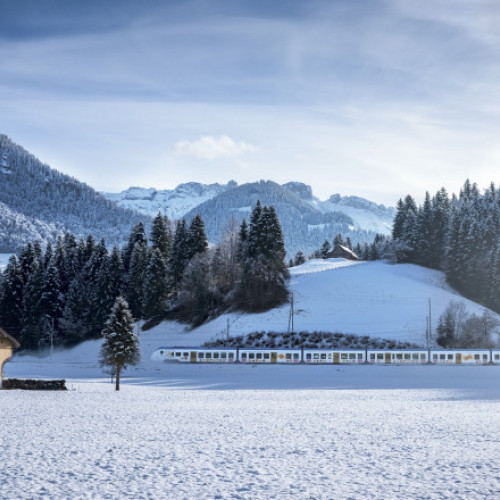 Tren deraiat în Elveția din cauza unei avalanșe, pasageri evacuați