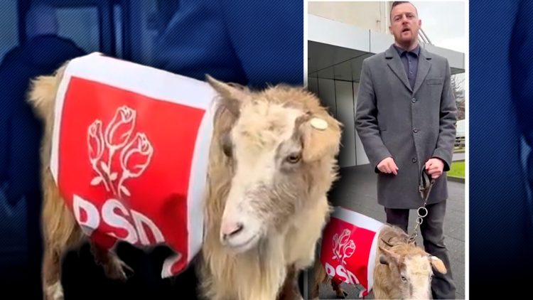 Daniel Ciornei, deputat maramureșean, criticat pentru declarațiile privind apa potabilă