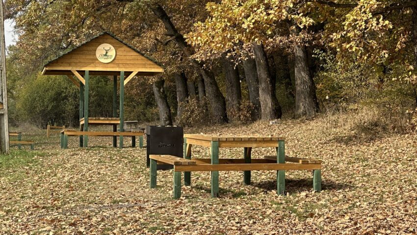 Reghin ar putea primi un parc urban multifuncțional pentru comunitate