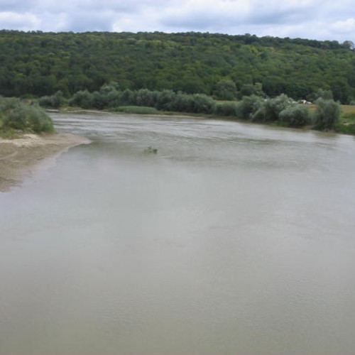 Un pescar ilegal prins în flagrant pe râul Siret