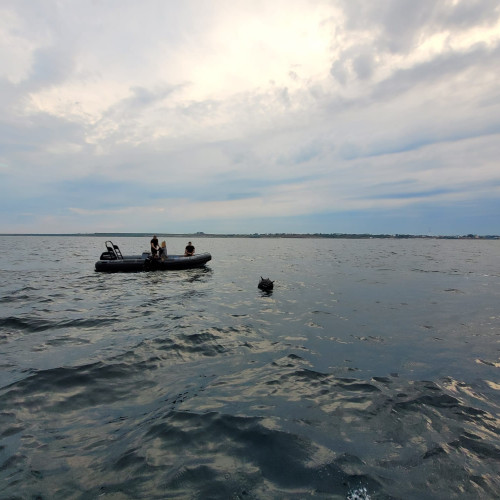 96-a mină de război căutată de navele forțelor navale în Marea Neagră