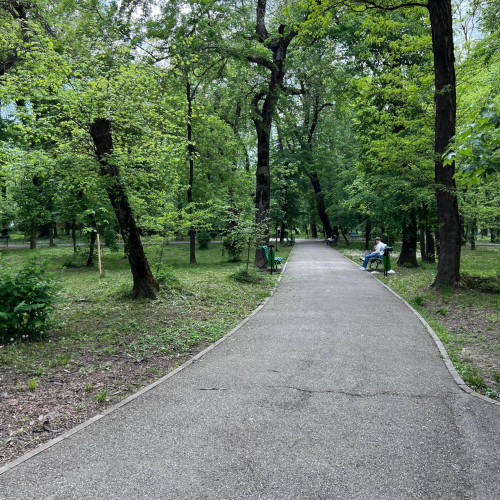 Parcul Central din Târgu Jiu va beneficia de o reabilitare extinsă