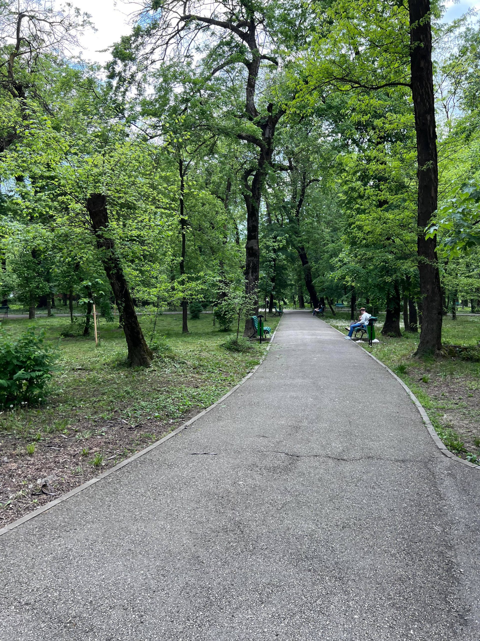 Parcul Central din Târgu Jiu va beneficia de o reabilitare extinsă
