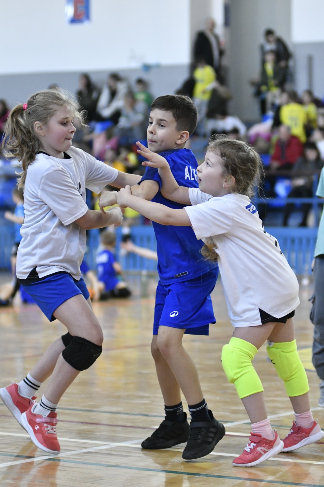 Ambiția și talentul au strălucit la Festivalul de minihandbal "Dan Moisii"