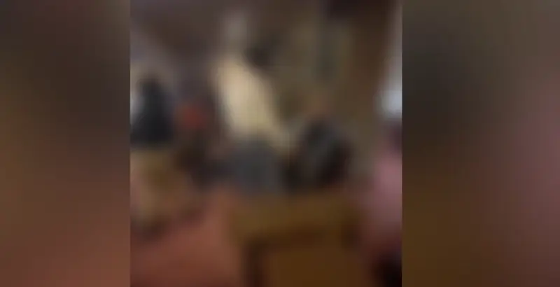 Petrecere de ziua primarului din Desa se termină cu violențe