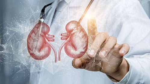 Avertizări privind efectele nanoplasticelor asupra sănătății renale