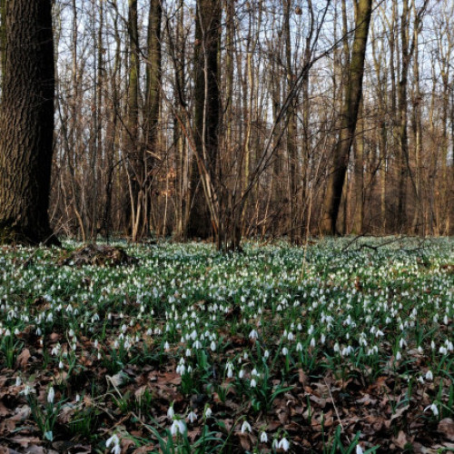 Temperaturi variate în următoarele săptămâni, anunță ANM