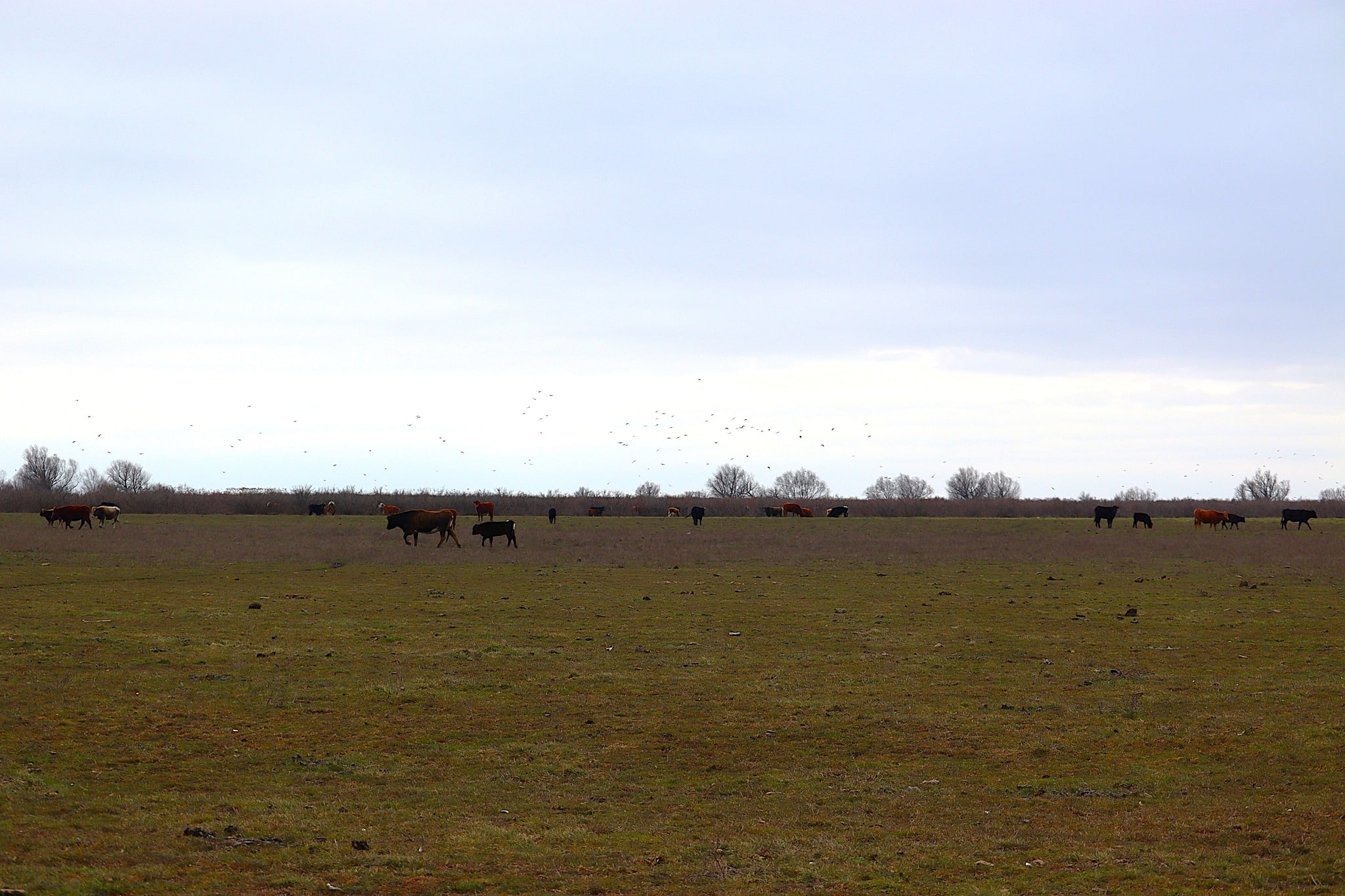 Amenzi ecologice de peste 16.500 de lei aplicate în Delta Dunării