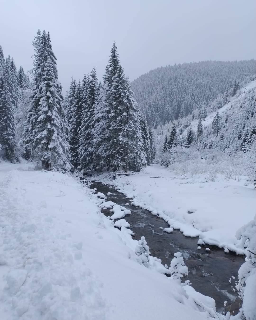 Avertizări Cod galben de ninsori în sudul țării