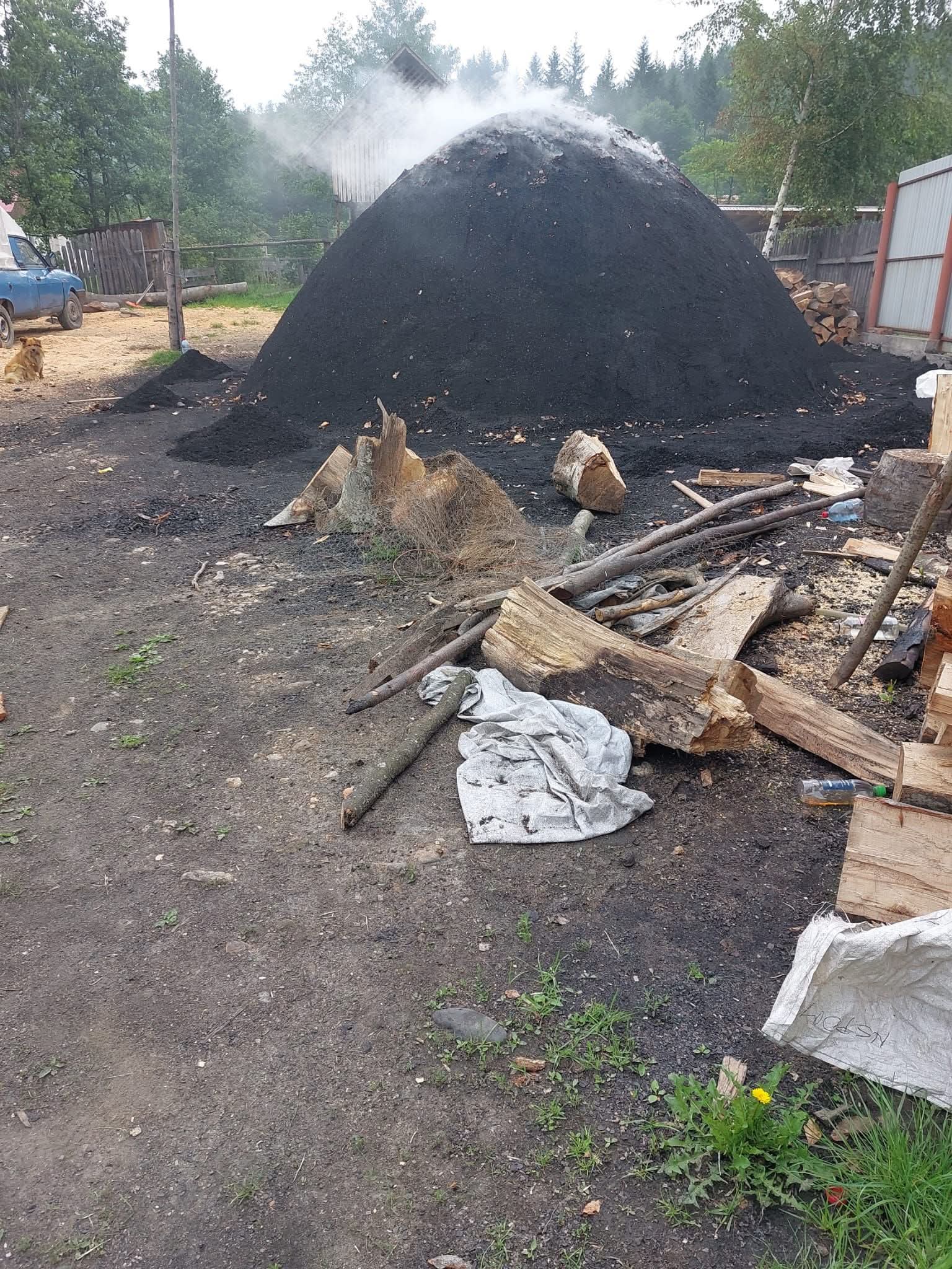 Controale de mediu în Baia de Fier: sancțiuni pentru activități ilegale de producție