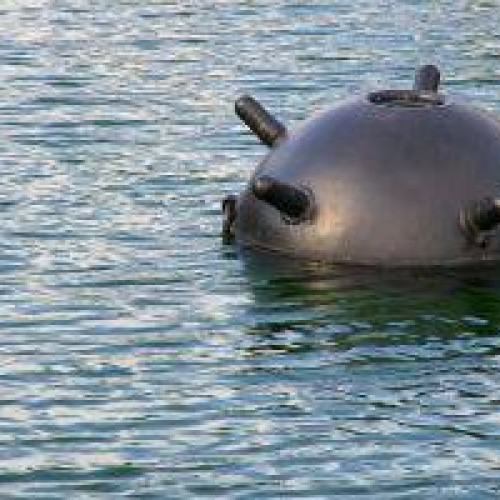 Misiune de căutare și intervenție în Marea Neagră pentru o posibilă mină marină identificată de către MApN
