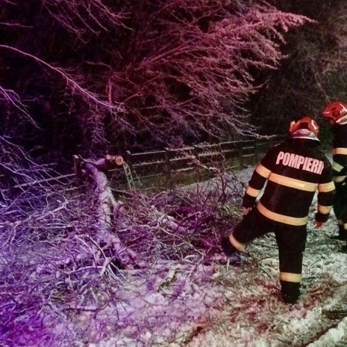 Vremea extremă face ravagii în Argeș! Copaci căzuți, stâlpi de electricitate afectați